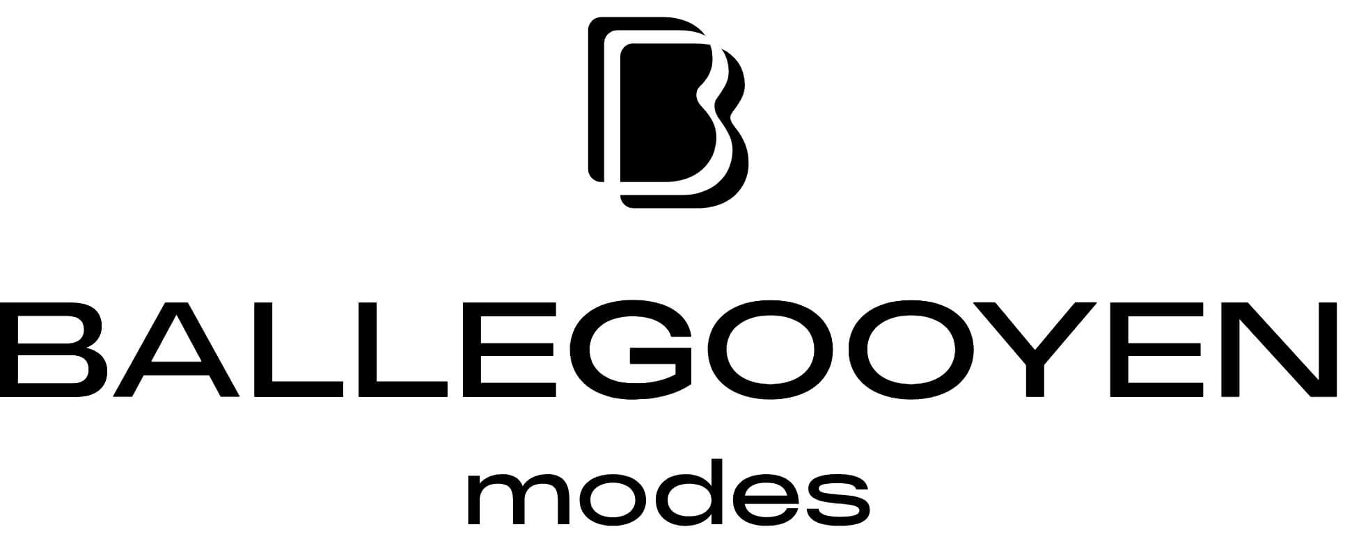 Ballegooyen-Modi